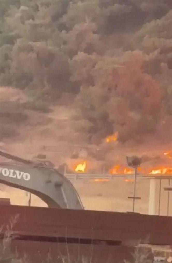 Fala upałów w Europie! "Centra chłodzenia" powstają w miastach