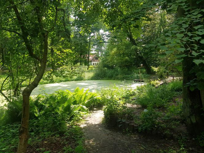 Leśne Arboretum Warmii i Mazur w Kudypach