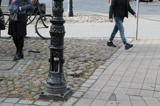 Nieporządek w okolicach pomnika Starego Marycha