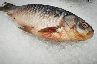 Kupując rybę na wigilijny stół, szczecinianie powinni sprawdzić jej świeżość 