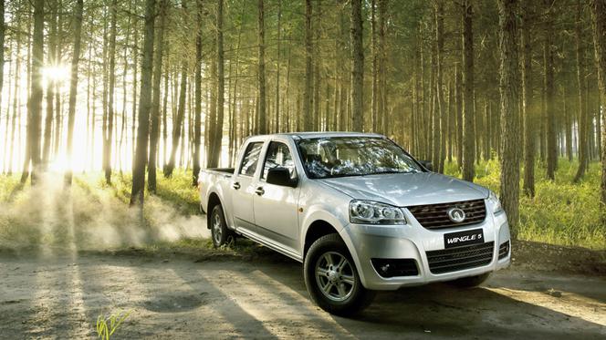 Great Wall Steed