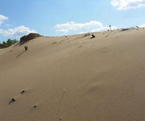 Kujawsko-pomorskie ma własne pustynie? Te tereny są niezwykłe, warto je zobaczyć [GALERIA]