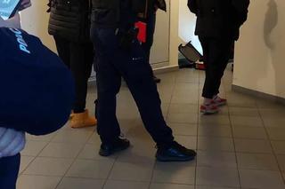 Zostawiła psy na tydzień bez jedzenia i picia! Jednego uwiązała na smyczy