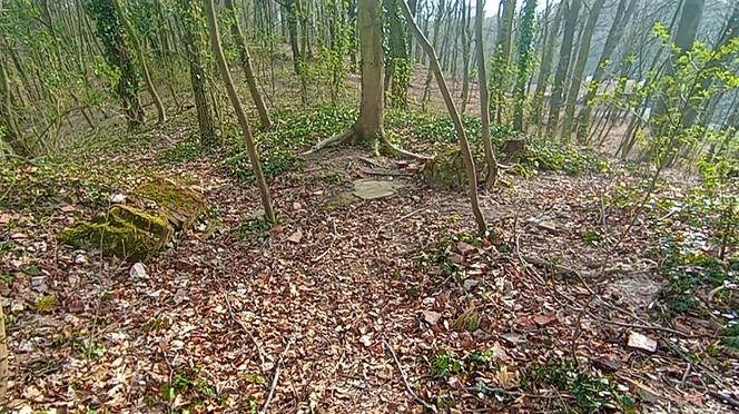 Wieża Baresela nad Jeziorem Szmaragdowym