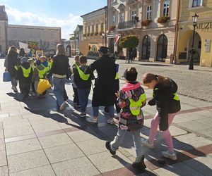 Odblaskowa Szkoła 2025 - akcja w Tarnowie