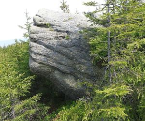 Magurka Radziechowska na zdjęciach