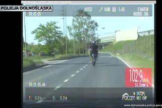 Szalał po Wrocławiu na jednym kole. Motocyklista stracił prawo jazdy i dostał ogromny mandat 