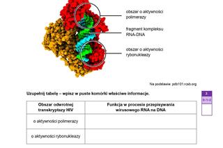 Biologia arkusze MATURA 2024 rozszerzenie FORMUŁA 2023
