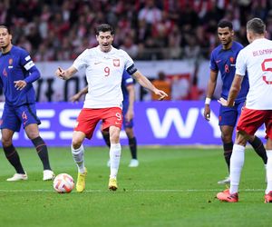 Cody Gakpo - gwiazda Holandii