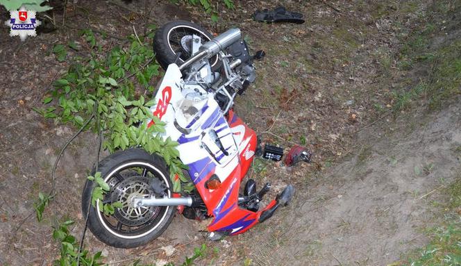 MAKABRA na drodze! 21-letni motocyklista ZGINĄŁ po zderzeniu z łosiem