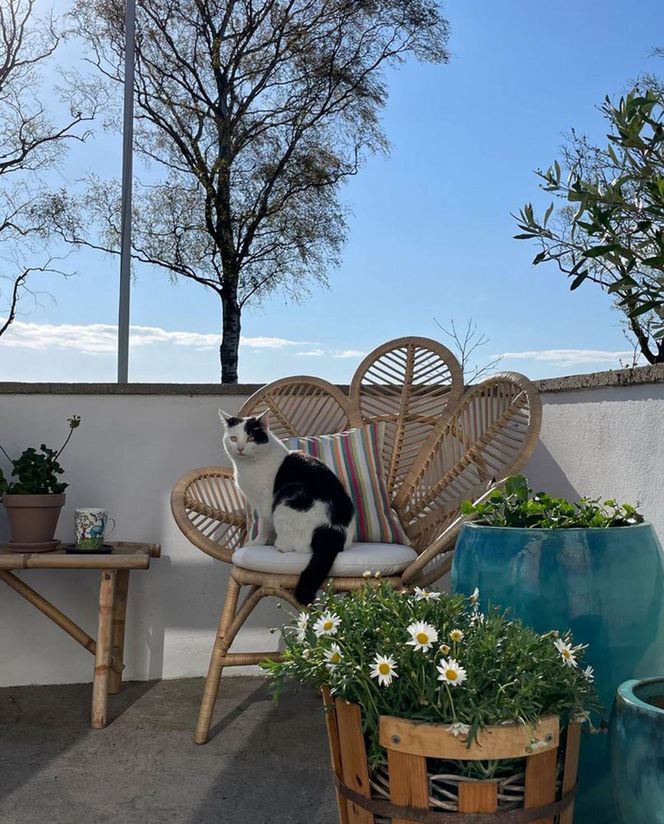 Beliani, fotel paw FLORENTINE II Rattan naturalny, 759 zł