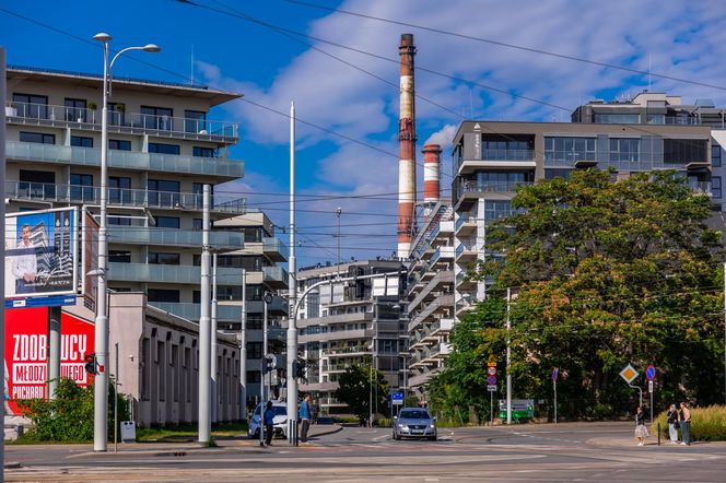 Kępa Mieszczańska we Wrocławiu - widok z drona