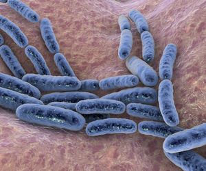 Lactobacillus - działanie, zastosowanie, dawkowanie