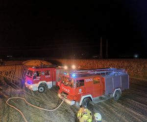 Pożar na polu. Spłonęło 1000 balotów słomy