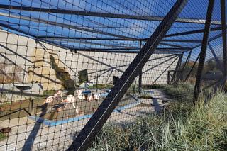 Jesień w zoo