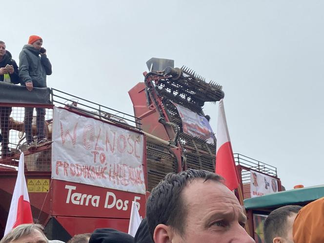 Protest rolników we Wrocławiu. Strajk wymyka się spod kontroli. Urząd Wojewódzki obrzucany jajkami