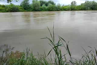 Małopolskie gminy już otrzymały ponad milion złotych dla powodzian. Kto dostał najwięcej?