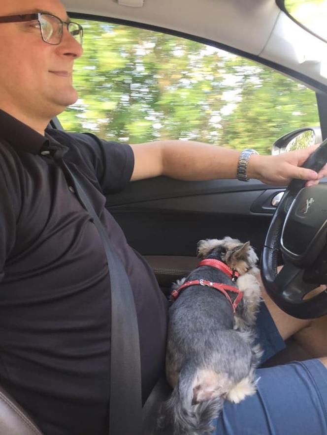 Prezydent Katowic pochwalił się jak w samochodzie przewozi swojego psa. Mieszkańcy oburzeni. To niebezpieczne! [ZDJĘCIA]