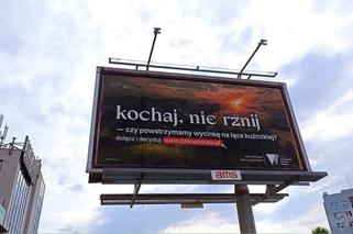 „Kochaj, nie rżnij”, „Chcemy bzykać w spokoju czy „Chcemy mieć mokro”