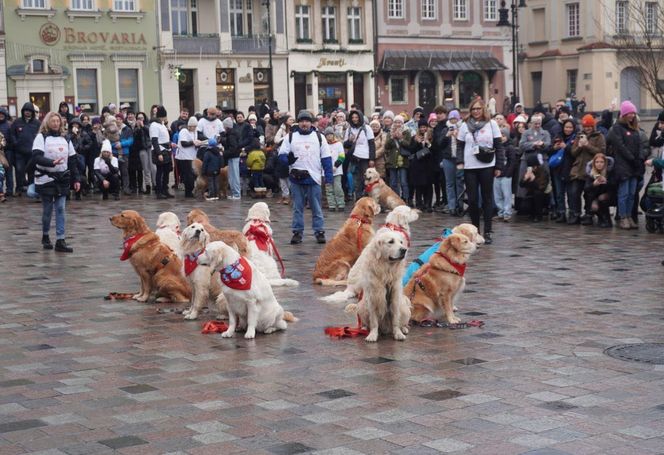 Wolontariusze WOŚP Poznań