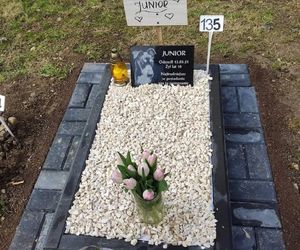 W całym woj. śląskim jest tylko jeden taki cmentarz. Miejsce, gdzie pamięć o pupilu nie umiera