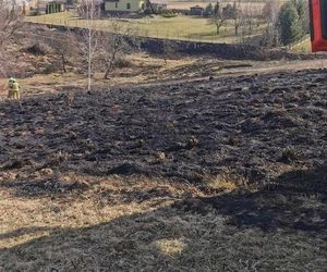 Pierwsza ofiara śmiertelna wypalania traw w Małopolsce. Nie żyje 78-letni mężczyzna