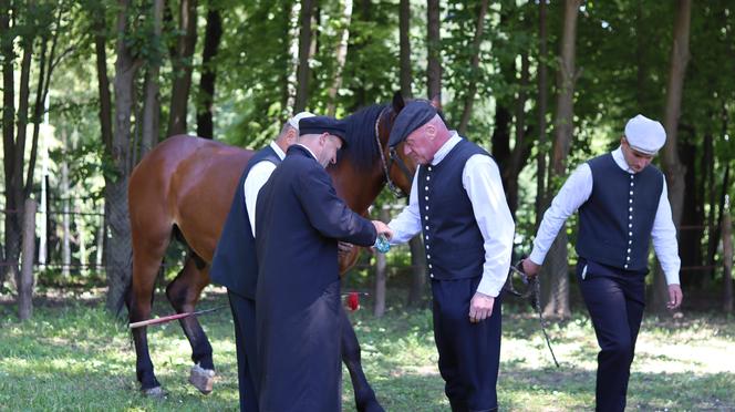 Jarmark koński w lubelskim skansenie przyciągnął tłumy