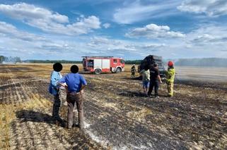 Lubelskie: Kolejny pożar ścierniska. Tym razem z dymem poszło 5 ha
