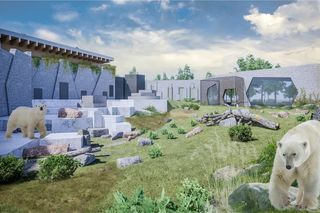 Nowiutki basen w Warszawskim ZOO to dopiero początek! Wybudują luksusowy wybieg dla niedźwiedzi