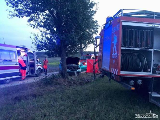 Tragiczny wypadek pod Sępólnem Krajeńskim! Nie żyje mężczyzna [ZDJĘCIA] 