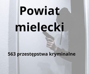 To tu na Podkarpaciu dochodzi do największej liczby przestępstw kryminalnych