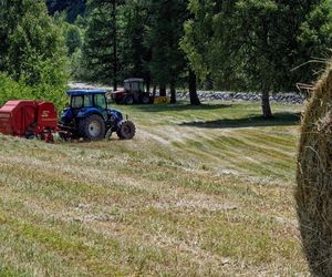 Dramat na polu. Mężczyzna zginął, próbując zatrzymać traktor 