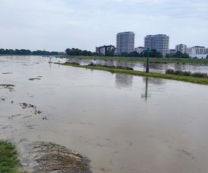 Fala powodziowa we Wrocławiu. Pod wodą są już beach bary i drogi 