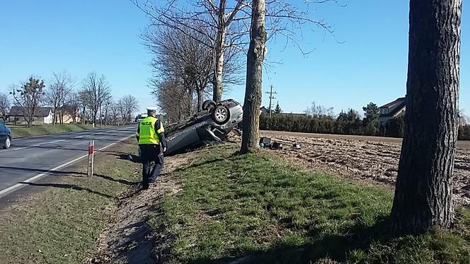 Kierowca BMW uderzył w drzewo w gminie Lubicz