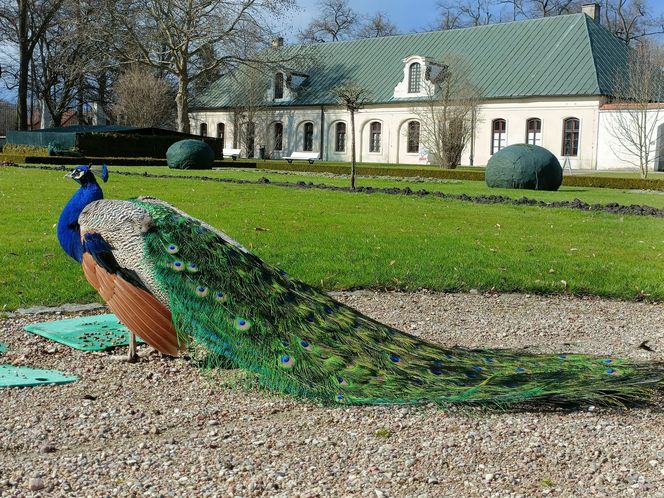 Muzeum Zamoyskich w Kozłówce wczesną wiosną