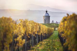 Czechy najlepszą jesienną destynacją rowerową