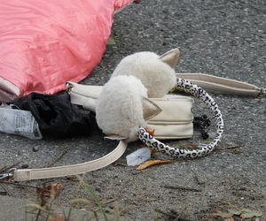 Dziewczynki potrącone na przejściu