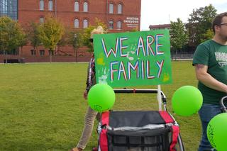 Zostań rodziną zastępczą. Happening w Bydgoszczy