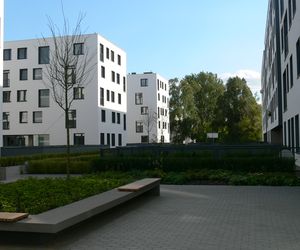 Ulga remontowo-budowlana. Konsolidacja organizacji budowlanych w misji przywrócenia ulgi