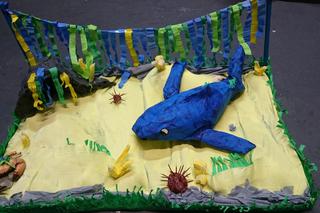 Zwycięzcy styczniowej odsłony Konkursu Edukacyjnego              Oceanarium 3D. Pierwsze klasy nagrodzone