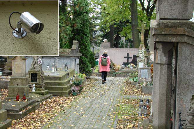 Monitoring na cmentarzu