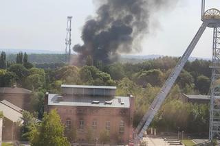 Gigantyczny pożar w Siemianowicach Śląskich! Płonie składowisko odpadów z chemikaliami [GALERIA]