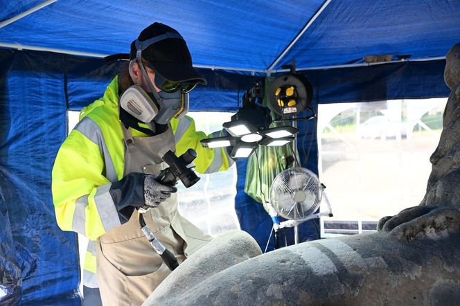 Renowacja koszalińskich lwów