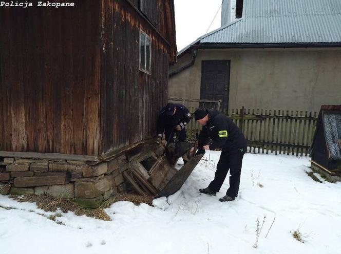 Policjanci znaleźli zwłoki 49-letniej Małgorzaty R.