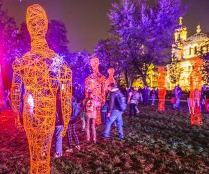 Light Move Festival 2024. Wyjątkowe iluminacje świetlne w Łodzi już za moment!