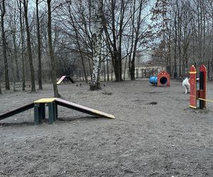 Psi park na ul. Augustów w Łodzi