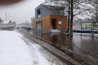 Cofka na Bałtyku. Stepnica