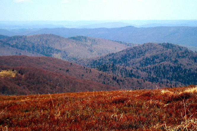 Bieszczady