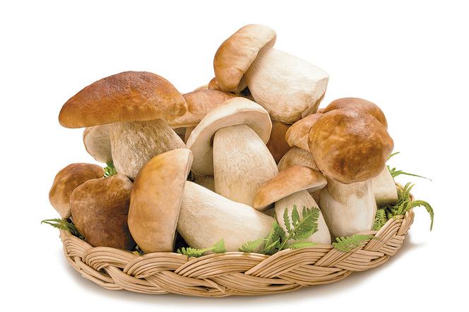 Zatrucie grzybami - jak go uniknąć