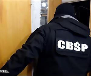 CBŚP przejęło 238 jednostek broni palnej i kilkaset sztuk amunicji